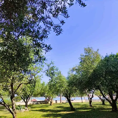 Liveric Seafront Apartament Zaton (Zadar)